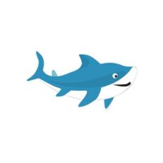 Shark