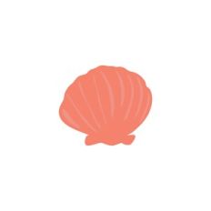 Seashell