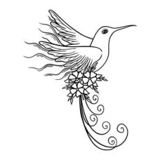 Hummingbirds