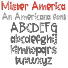 ZP Mister America
