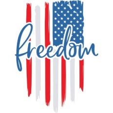 Freedom American Flag