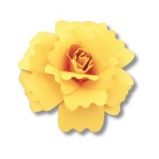 3D FLOWER