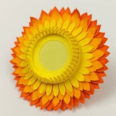 Straw Flower