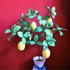 Lemon Tree