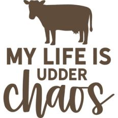 my life is udder chaos