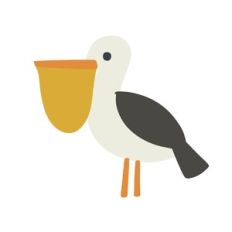 Pelican