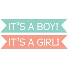 baby boy / girl word tags