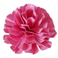 PRACTICAL FLOWER 137