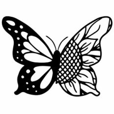 Sunflower Butterfly