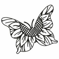 Sunflower Butterfly