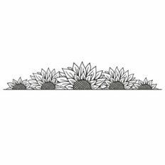 Sunflower Border