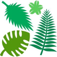 set leaves
