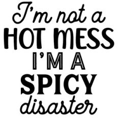 Hot Mess Spicy Disaster