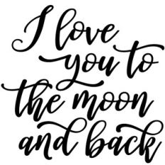Moon And Back
