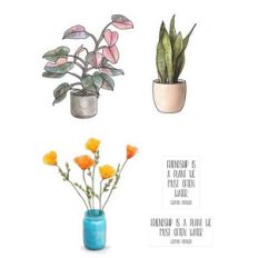 Plant Sampler