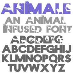 PN Animale