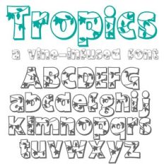 PN Tropics