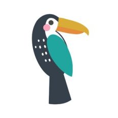 Toucan