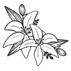 Lily Flower Arrangement