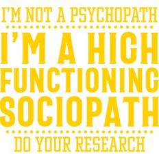 high functioning sociopath
