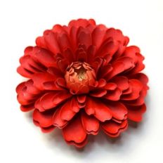 ROLLED DAHLIA FLOWER