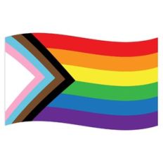 pride flag