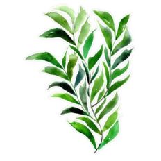 Watercolor Abstract Leaves Spray Print and Cut