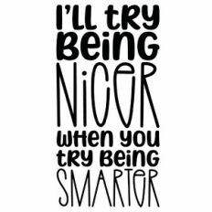 I'll Try Being Nicer When you Try Being Smarter Quote