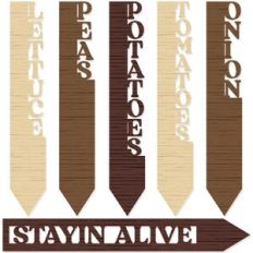 Veggie Garden Markers