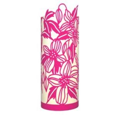 Flowering Clematis Lantern