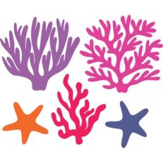 Coral