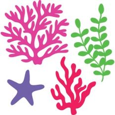 Coral and Starfish