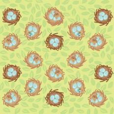 Baby Birds