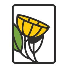 Flower cups - A2 card design 1