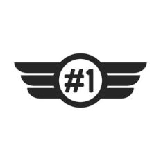 Pilot Wings