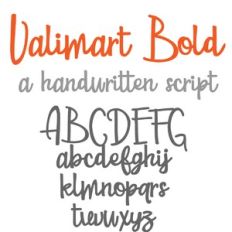PN Valimart Bold