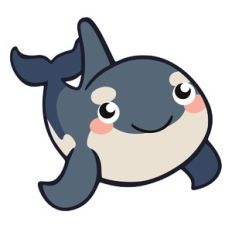 Killer Whale