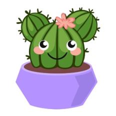 Barrel Cactus