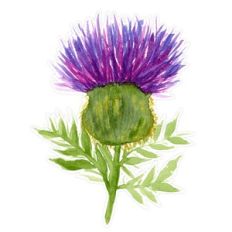 Purple Watercolor Thistle Flower Print and Cut