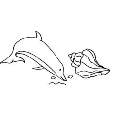 Dolphin and sea shell cut file