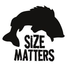 Size Matters Fish