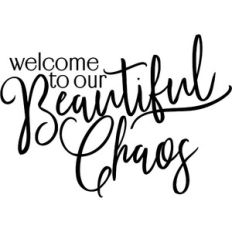 Welcome To Our Beautiful Chaos