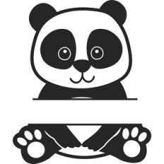 Split Panda Bear