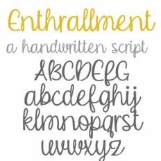 ZP Enthrallment