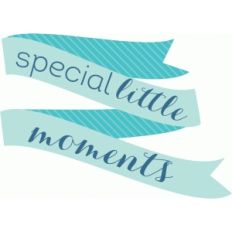 imaginisce banner