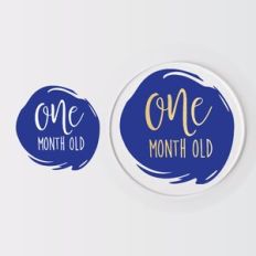 Baby Monthly Milestone Disc, Birth Months