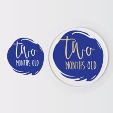 Baby Monthly Milestone Disc, Birth Months
