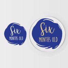 Baby Monthly Milestone Disc, Birth Months