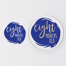 Baby Monthly Milestone Disc, Birth Months