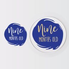 Baby Monthly Milestone Disc, Birth Months